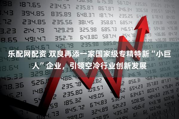 乐配网配资 双良再添一家国家级专精特新“小巨人”企业，引领空冷行业创新发展